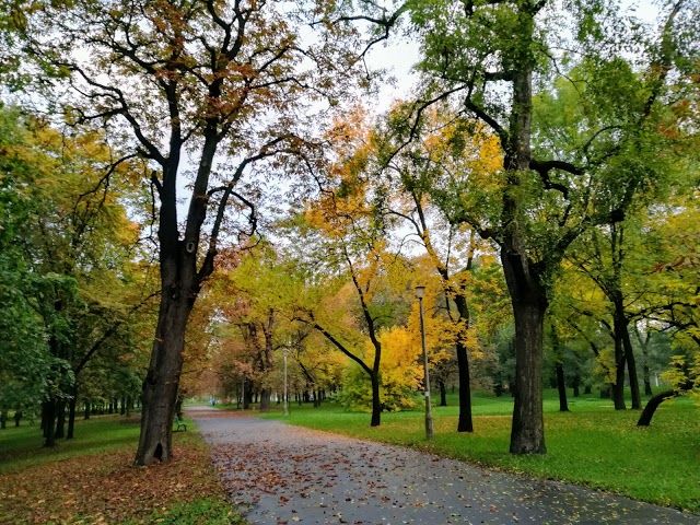 Park Lotników Polskich
